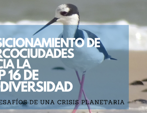 Dirección Ejecutiva aprobó el documento de posicionamiento de los gobiernos locales ante la COP16 de Biodiversidad