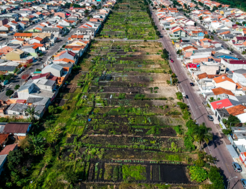 Convite às cidades para a criação da Unidade Temática sobre Políticas Alimentares Urbanas