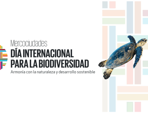 Comunicado de Mercociudades en el Día Internacional de la Diversidad Biológica