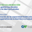 ortalecimiento Institucional Mercociudades_consultoría CAF